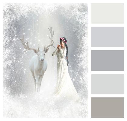 Dream White Deer Ice Fairy Image